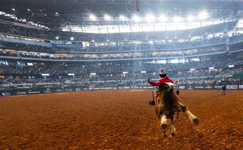 More Than 40 Horses Die on Oklahoma Ranch After Eating .